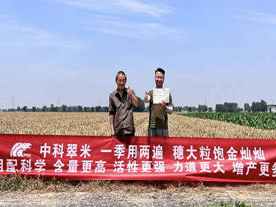 炎炎夏日，盛夏六月—致敬市场美丽身影