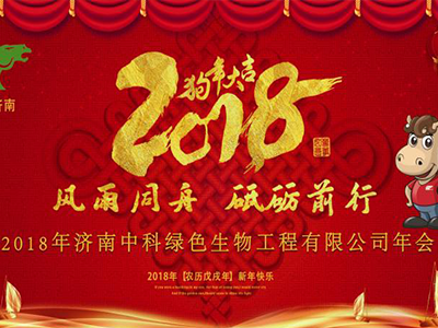 济南云顶集团(中国)2017总结暨2018迎新年会